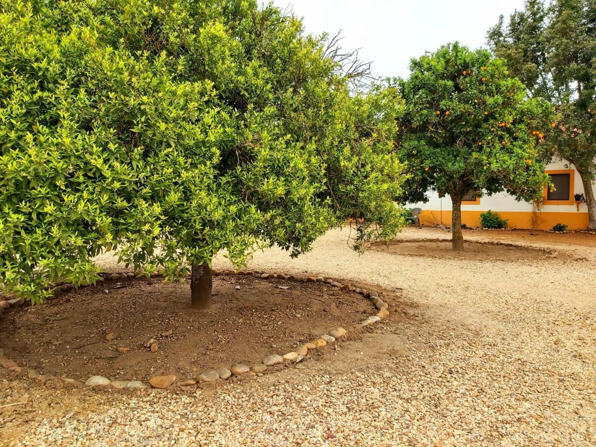 Casas Herdade Do Convento Da Serra Almeirim Exterior photo