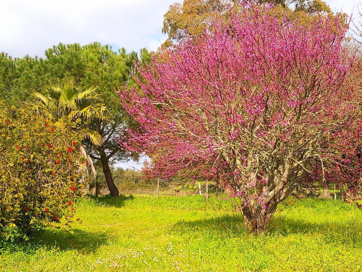 Casas Herdade Do Convento Da Serra Almeirim Exterior photo